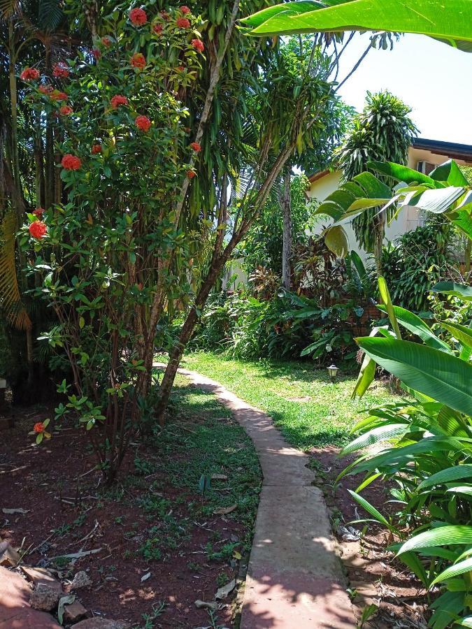 Garden Stone Hostel Πουέρτο Ιγκουασού Εξωτερικό φωτογραφία